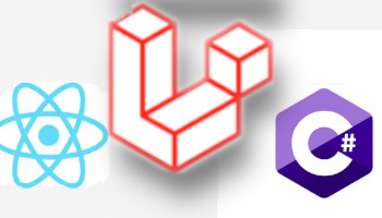 web-designer-zeerust/